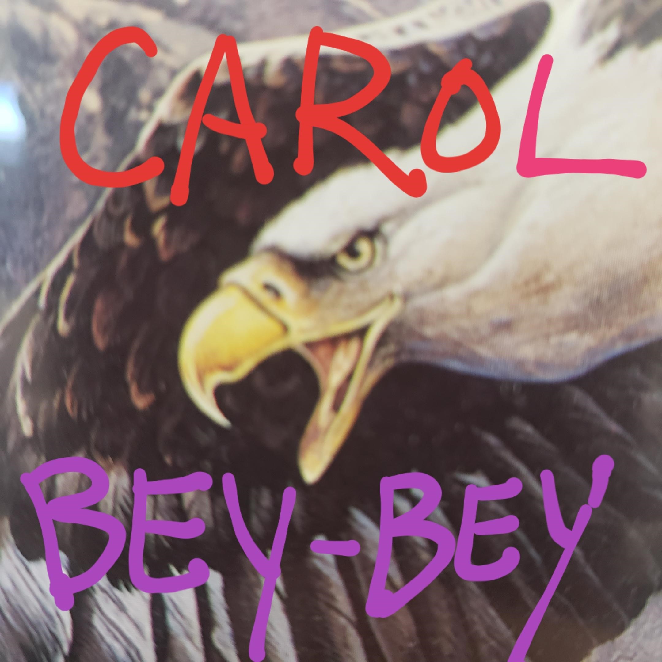 CAROL-BEY-BEY's avatar.
