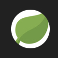 Leafy9002's avatar.