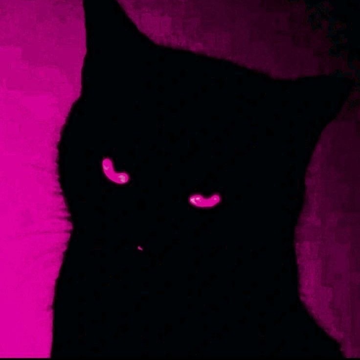 mega_transzar's avatar