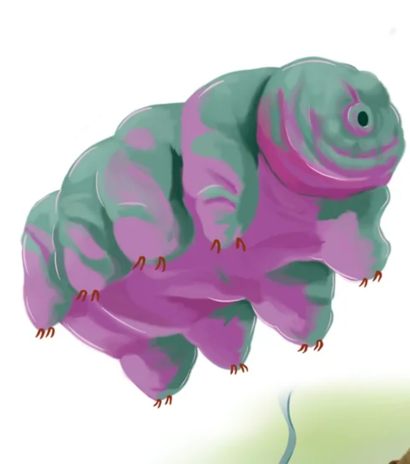 Tardigrade's avatar