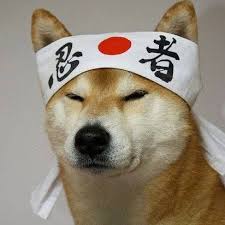 Indigoxd's avatar