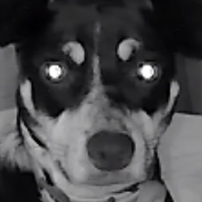 NightGuard's avatar