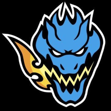 BladerX10
