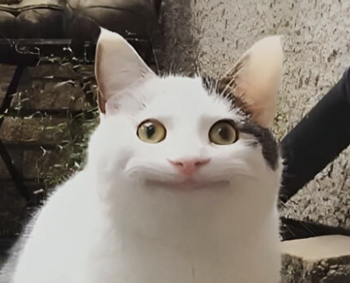SharkyWizard's avatar