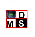 DMS_spirit