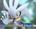 silverhedgehog