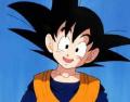 goten17