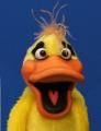 Chuck the Duck's avatar.